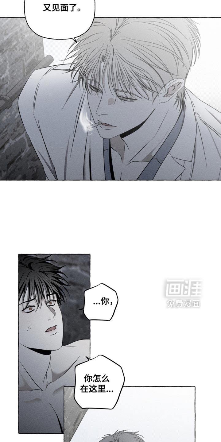 第26章：改变主意了