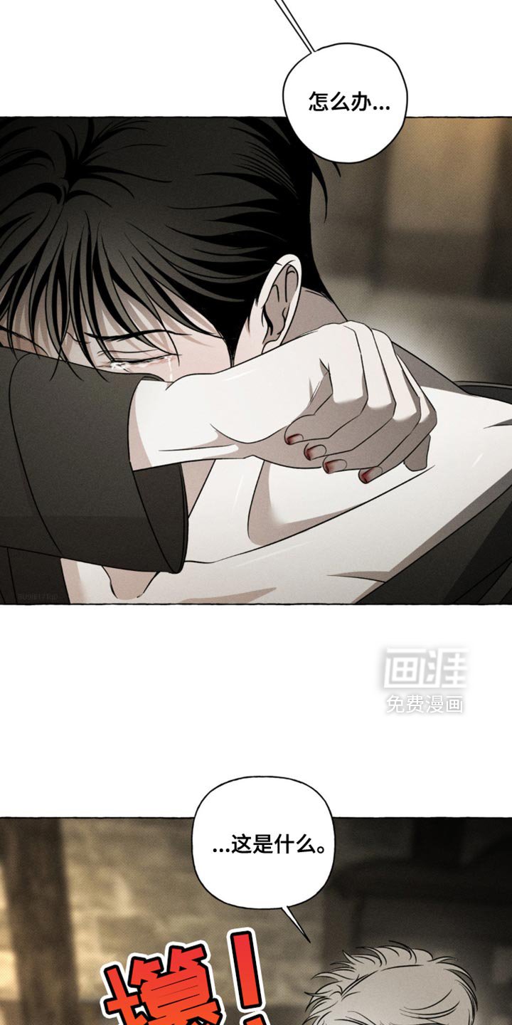 第34章：我尽早回来