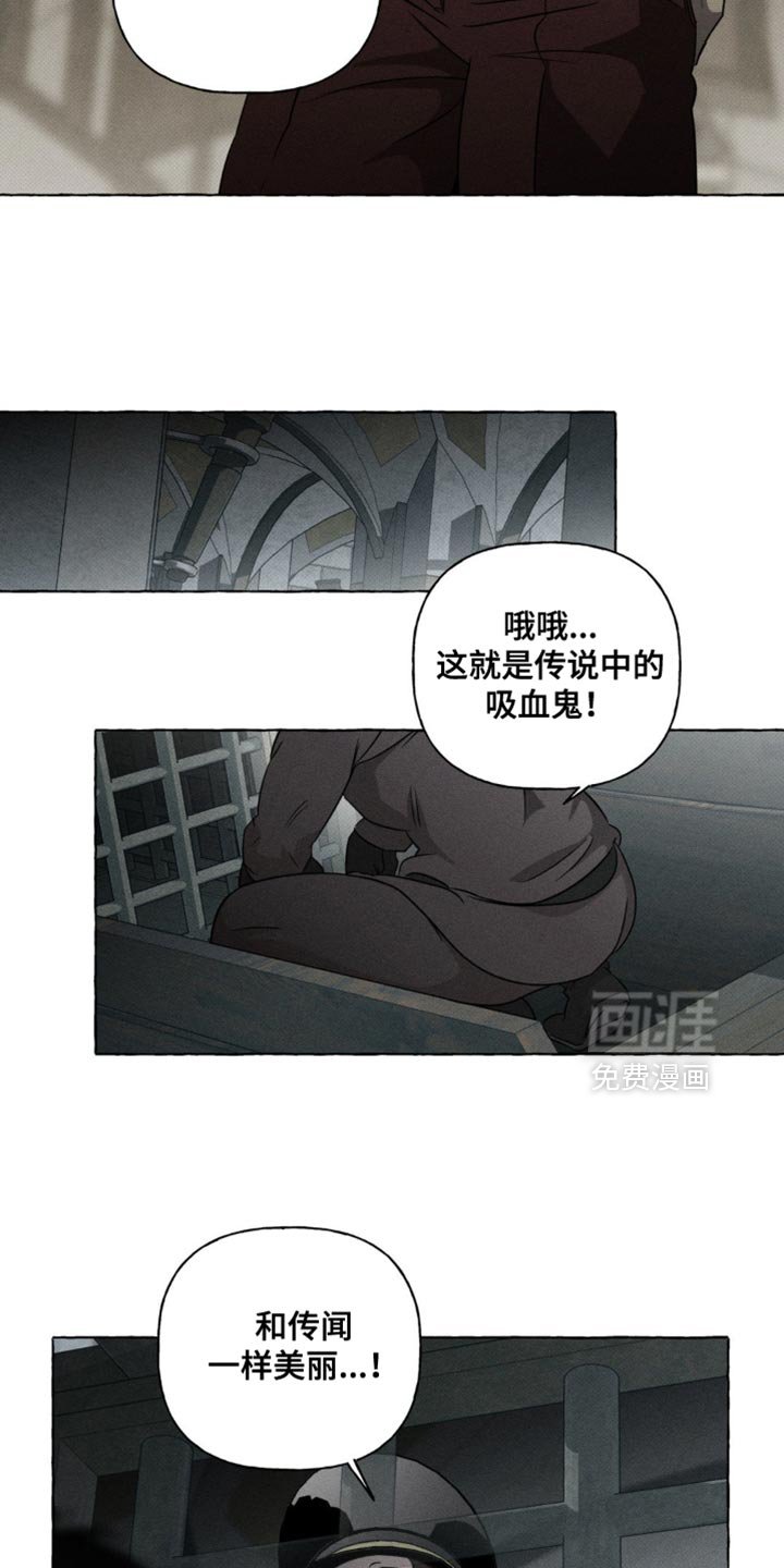 第41章：同母异父兄弟