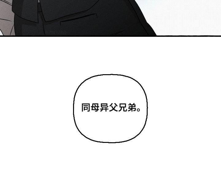 第41章：同母异父兄弟
