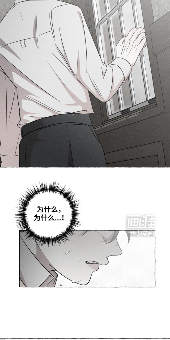 第48章：吸引视线