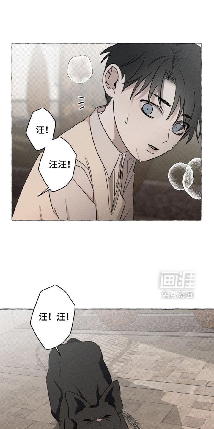 第48章：吸引视线