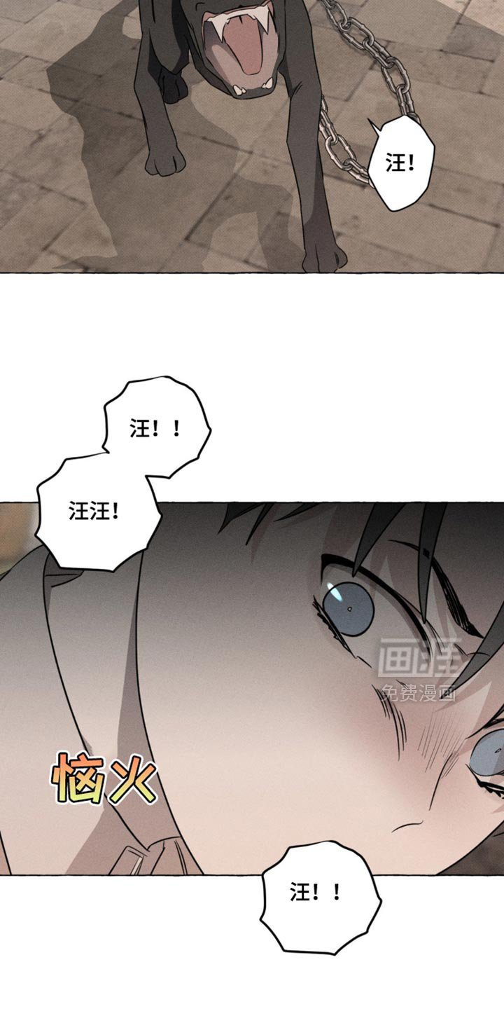 第48章：吸引视线