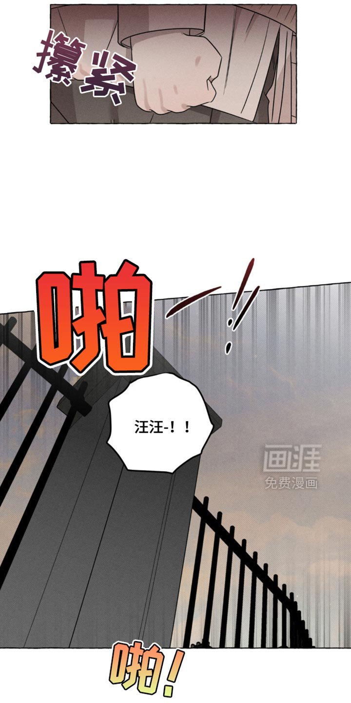 第48章：吸引视线