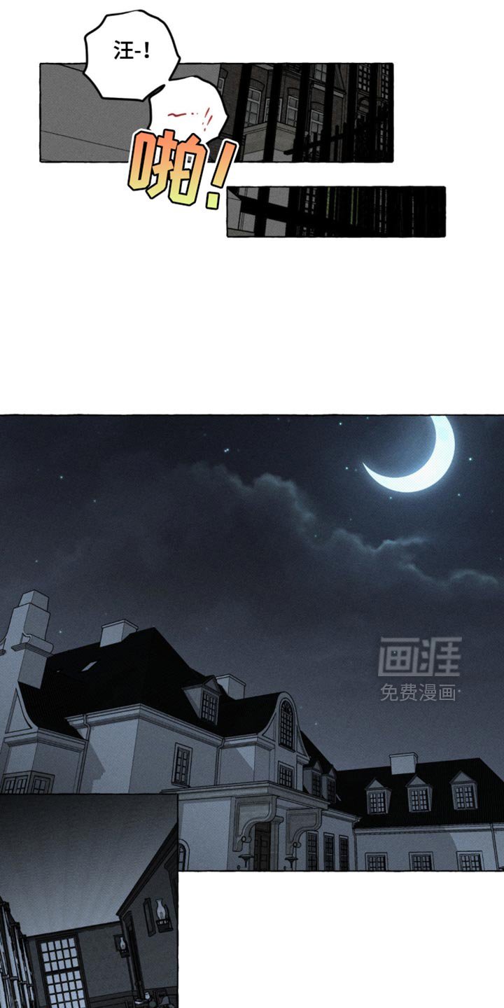 第48章：吸引视线