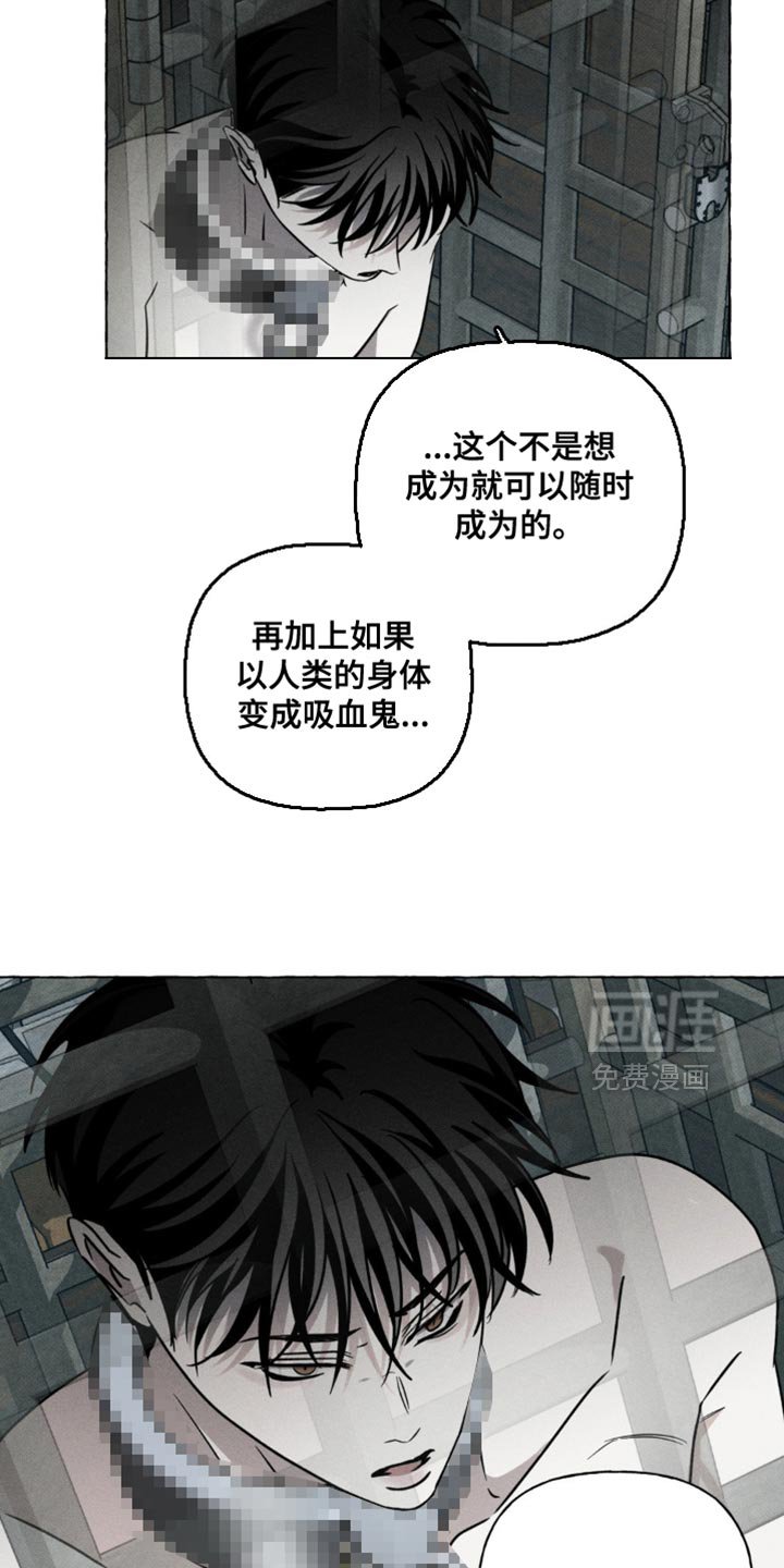 第51章：治疗剂