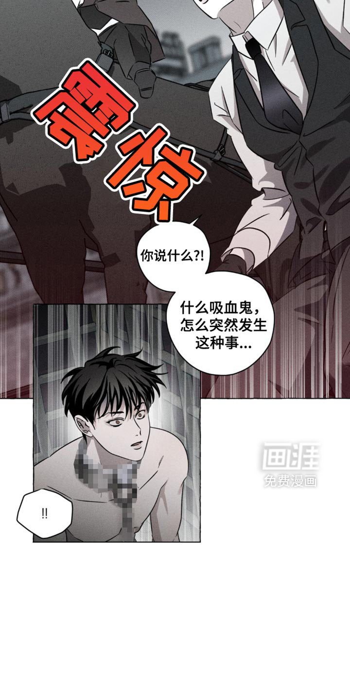 第51章：治疗剂