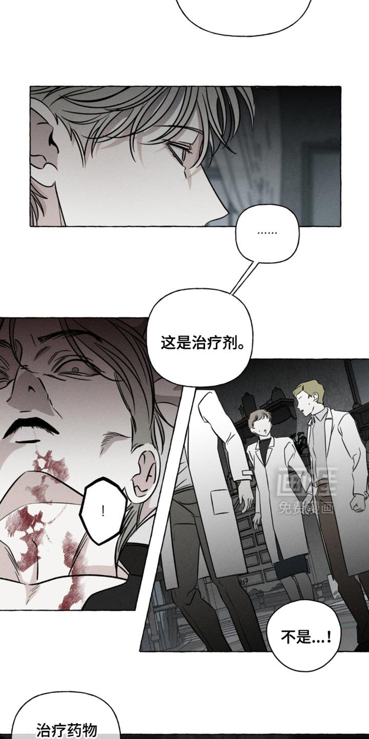 第51章：治疗剂
