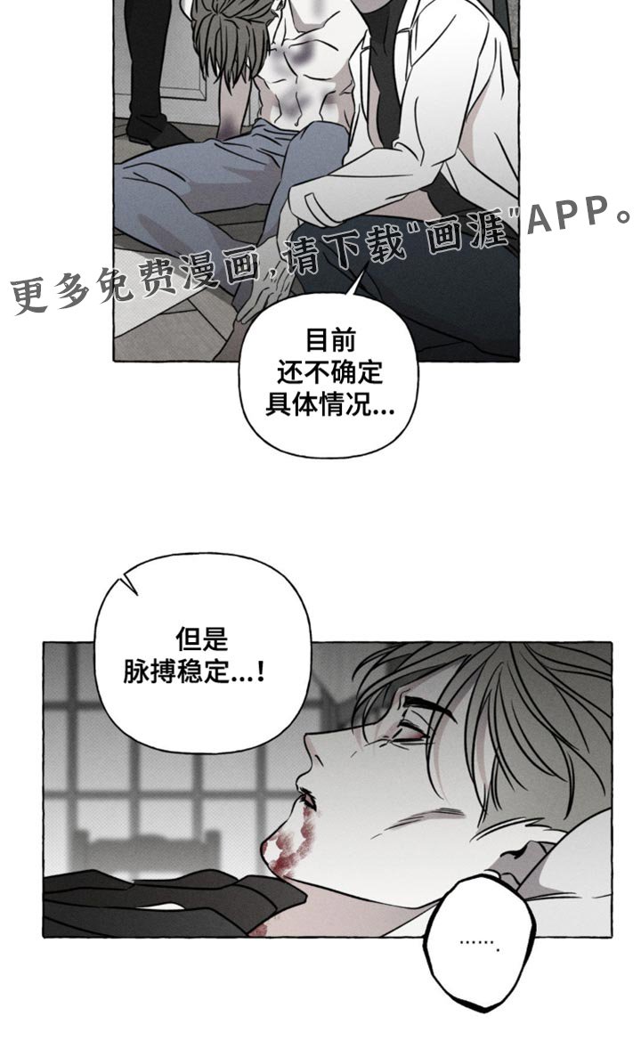第51章：治疗剂