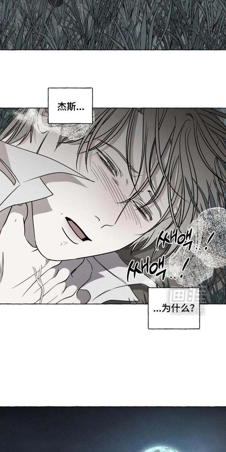 第60章：不会再见了
