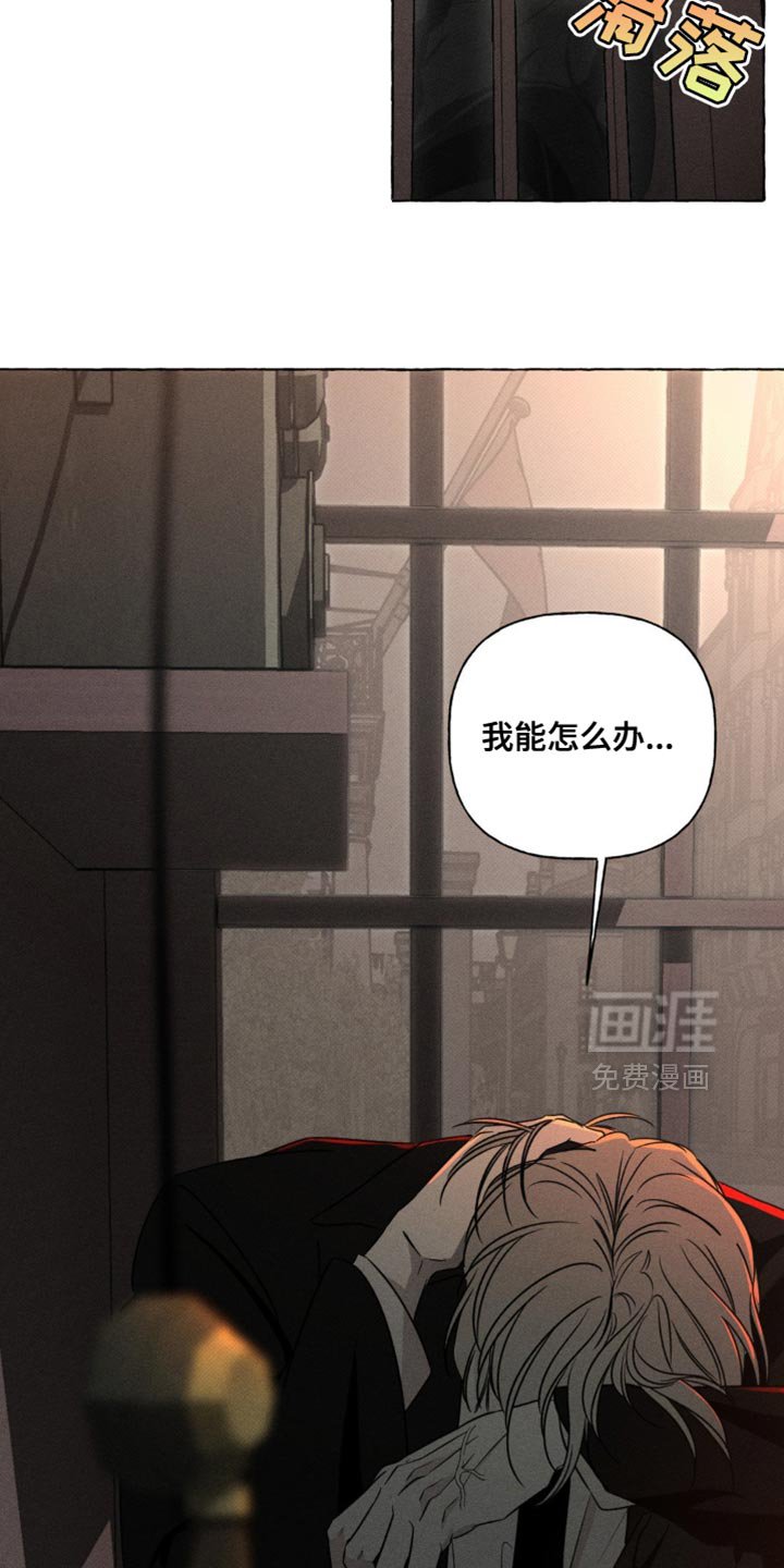 第66章：请不要找我