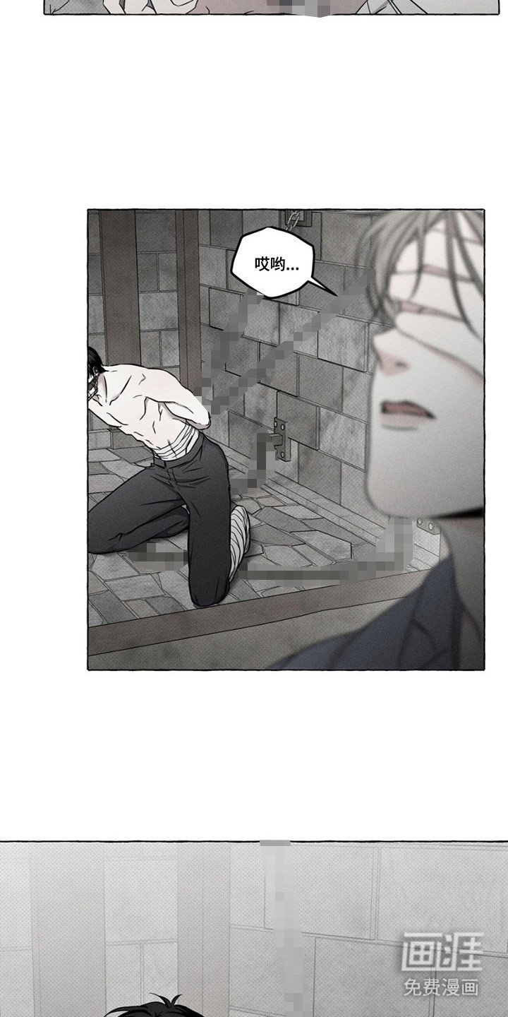 第7章：利用价值