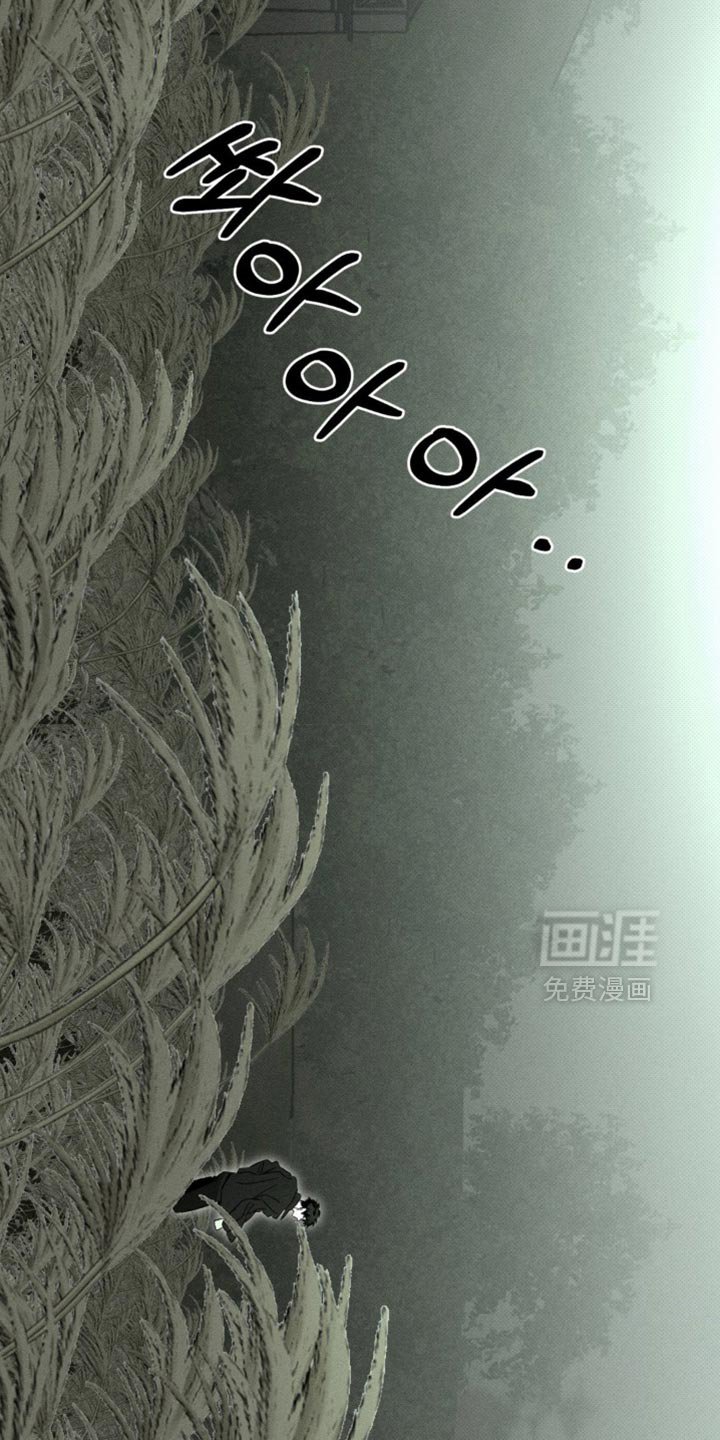 第71章：你根本就不需要