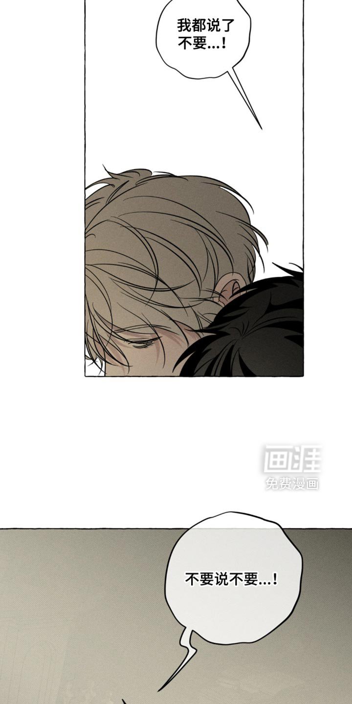 第77章：产生感情