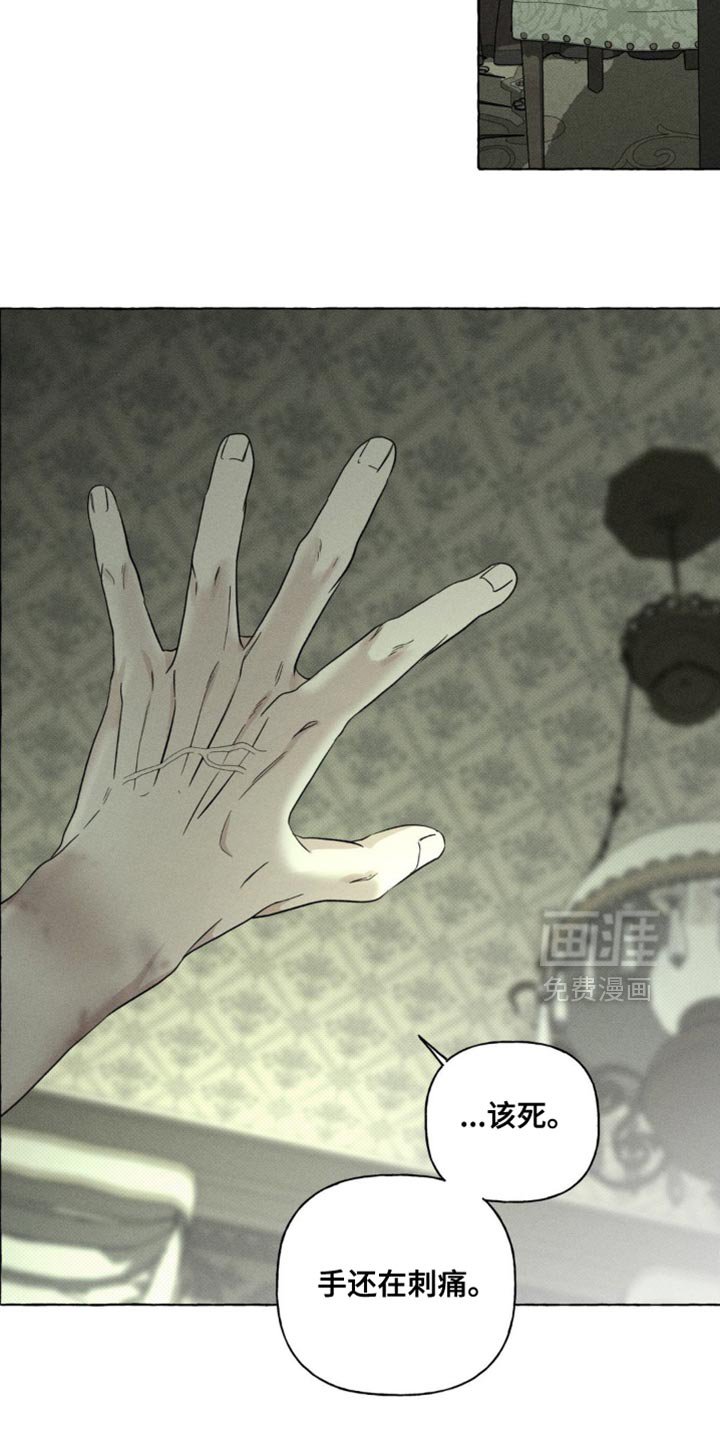第78章：猫咪