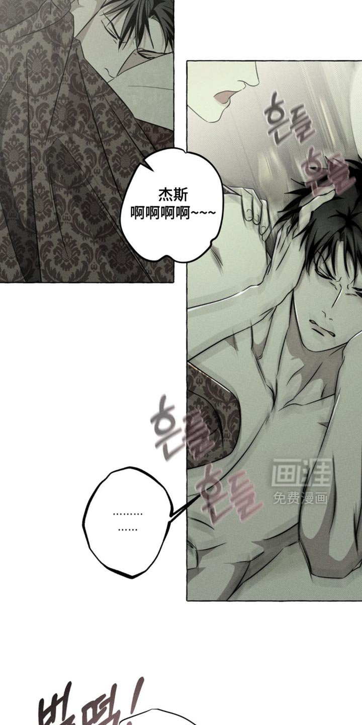 第78章：猫咪