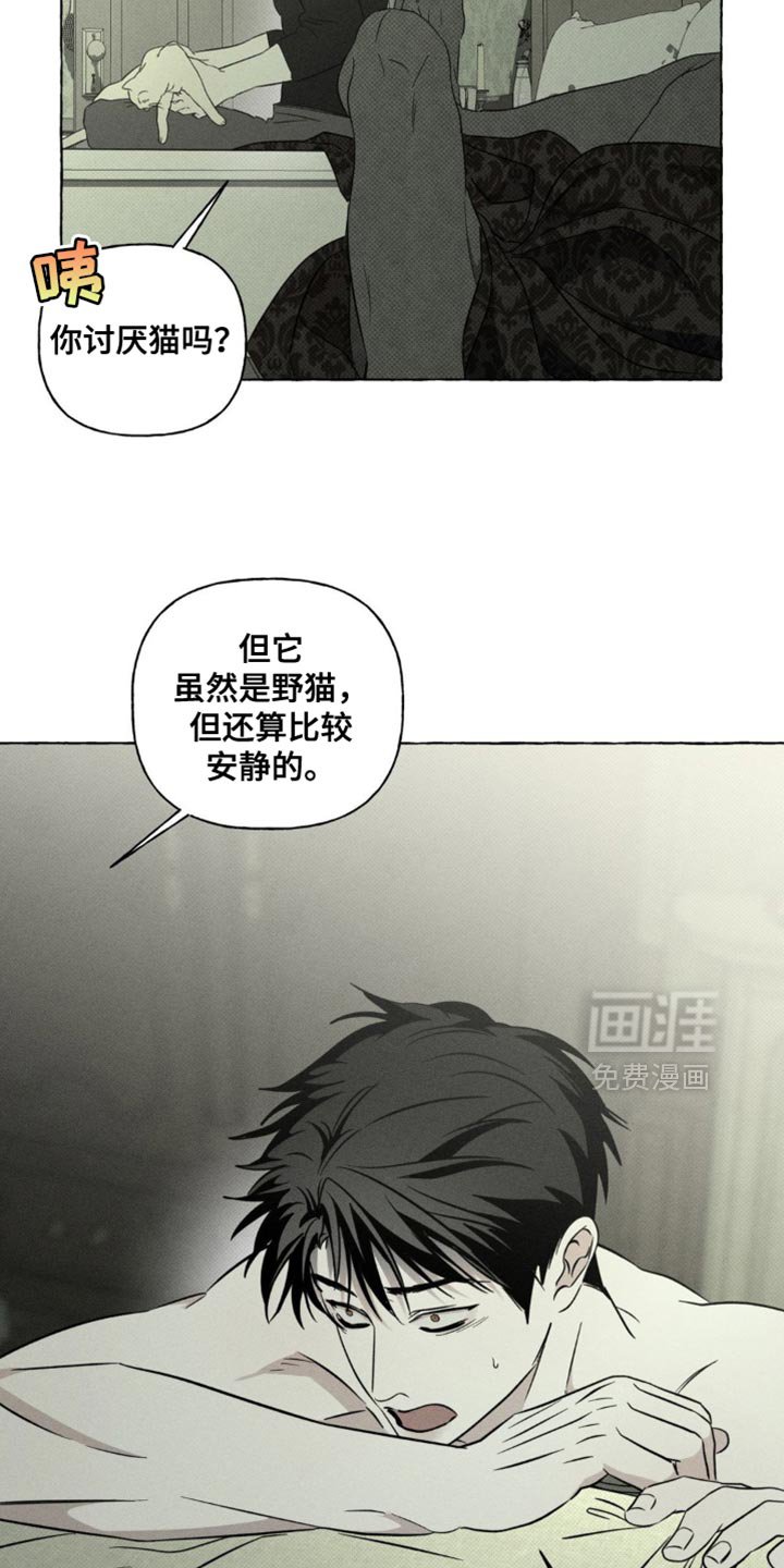 第78章：猫咪