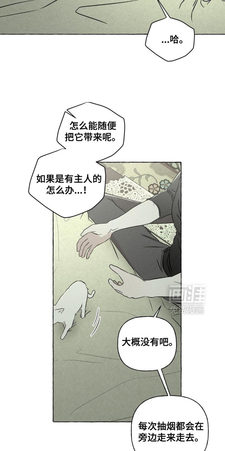 第78章：猫咪