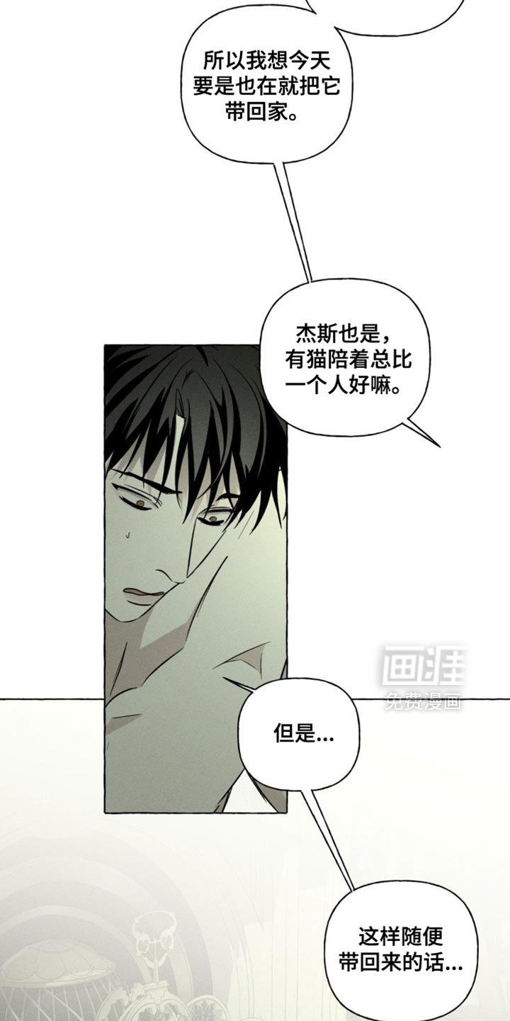 第78章：猫咪