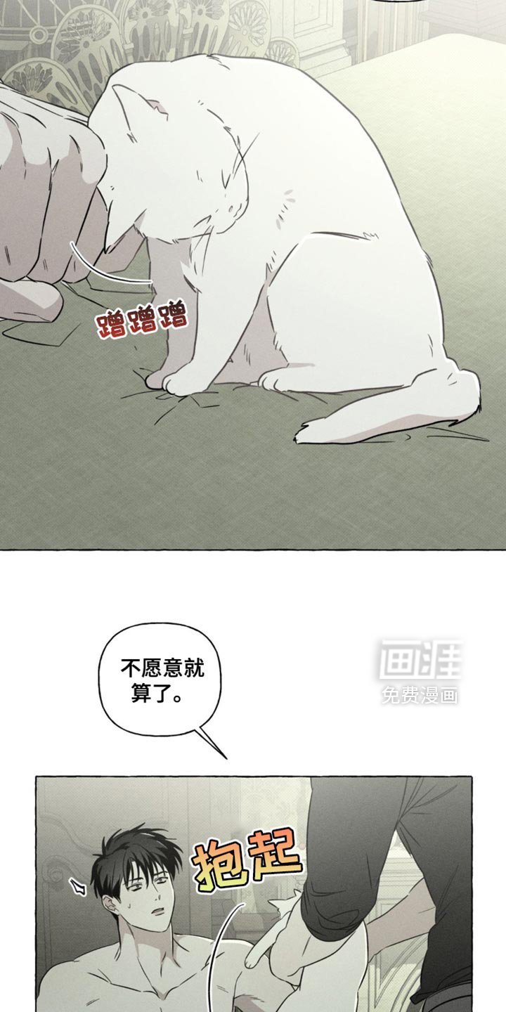 第78章：猫咪