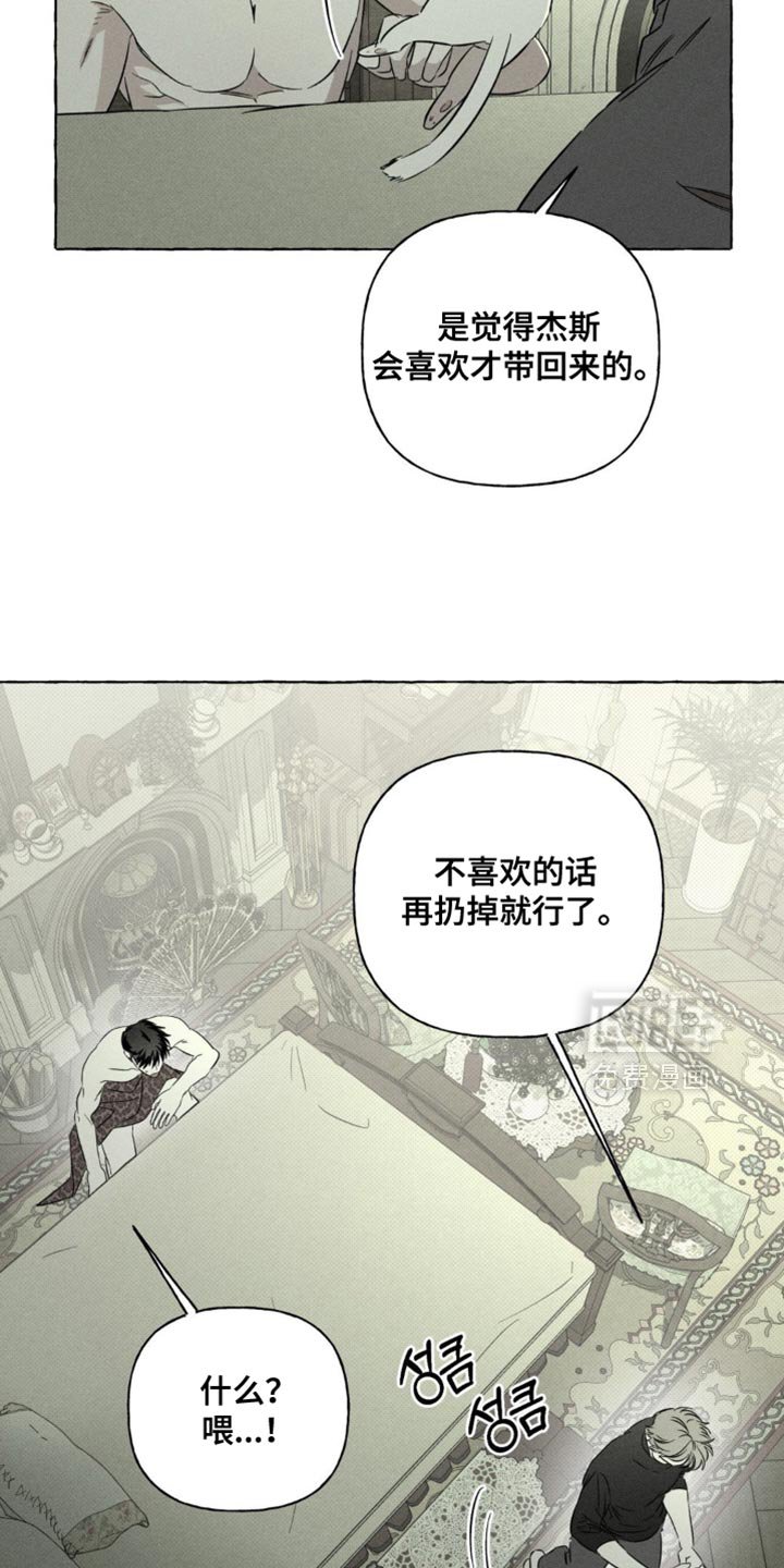 第78章：猫咪