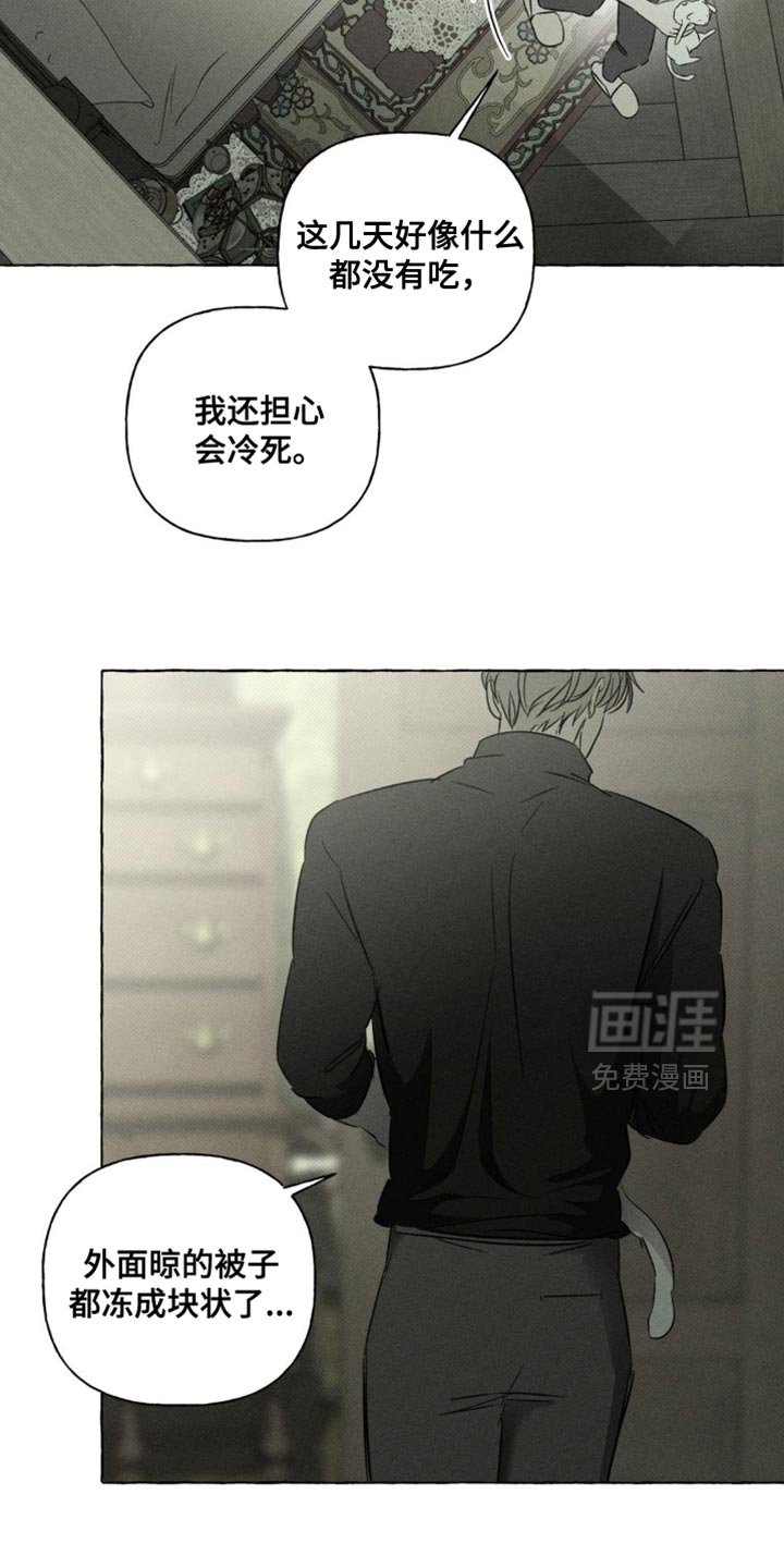 第78章：猫咪