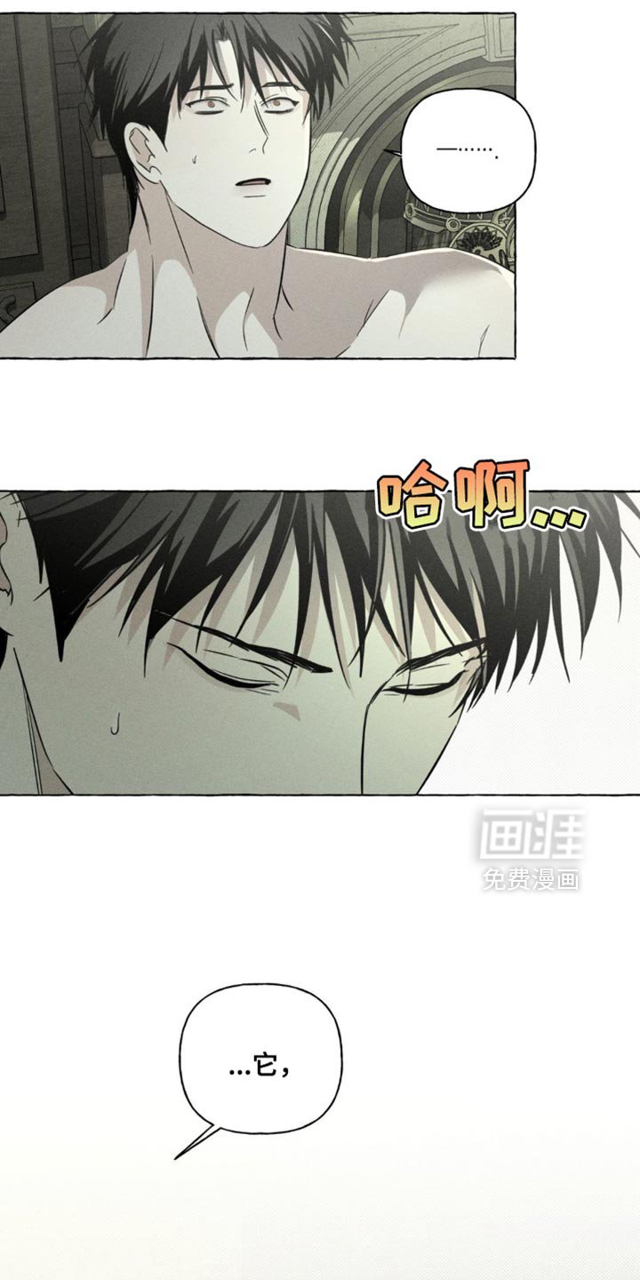 第78章：猫咪