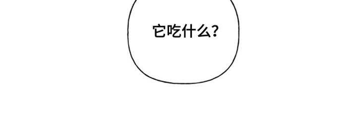 第78章：猫咪
