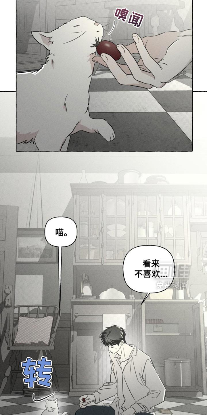 第79章：报告的日子