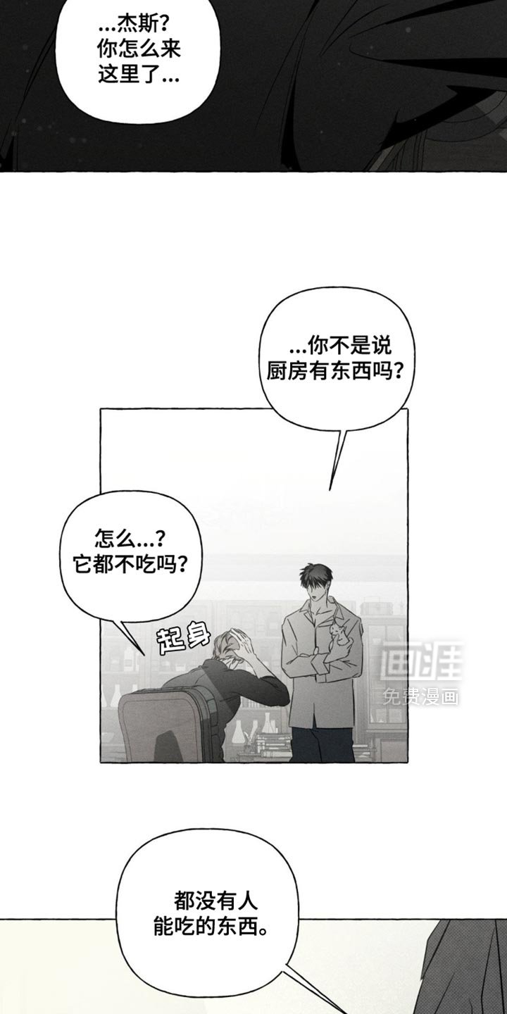 第79章：报告的日子