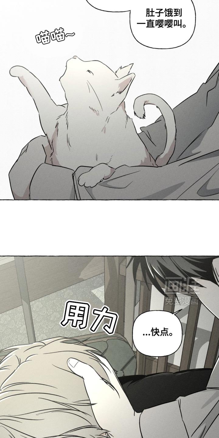 第79章：报告的日子