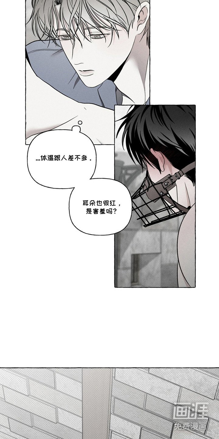第8章：照顾