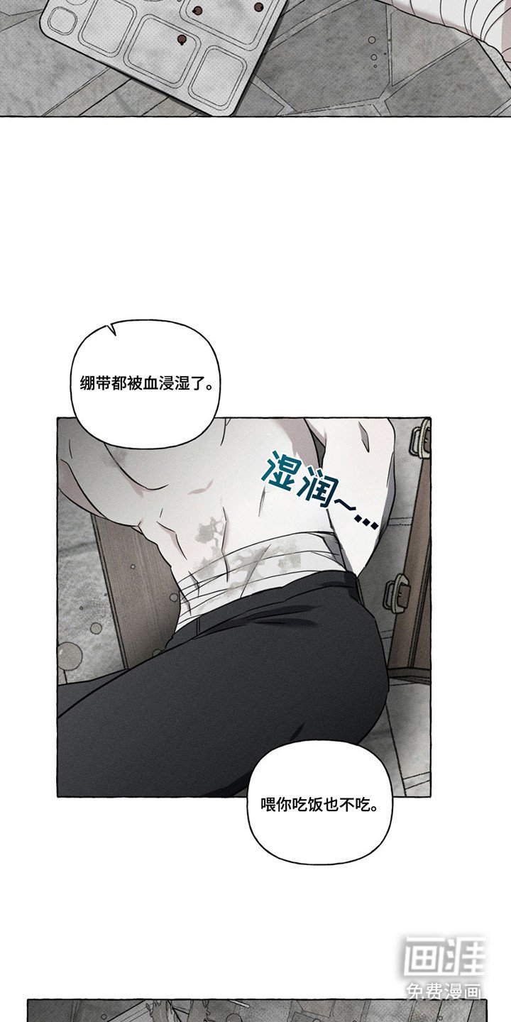 第8章：照顾