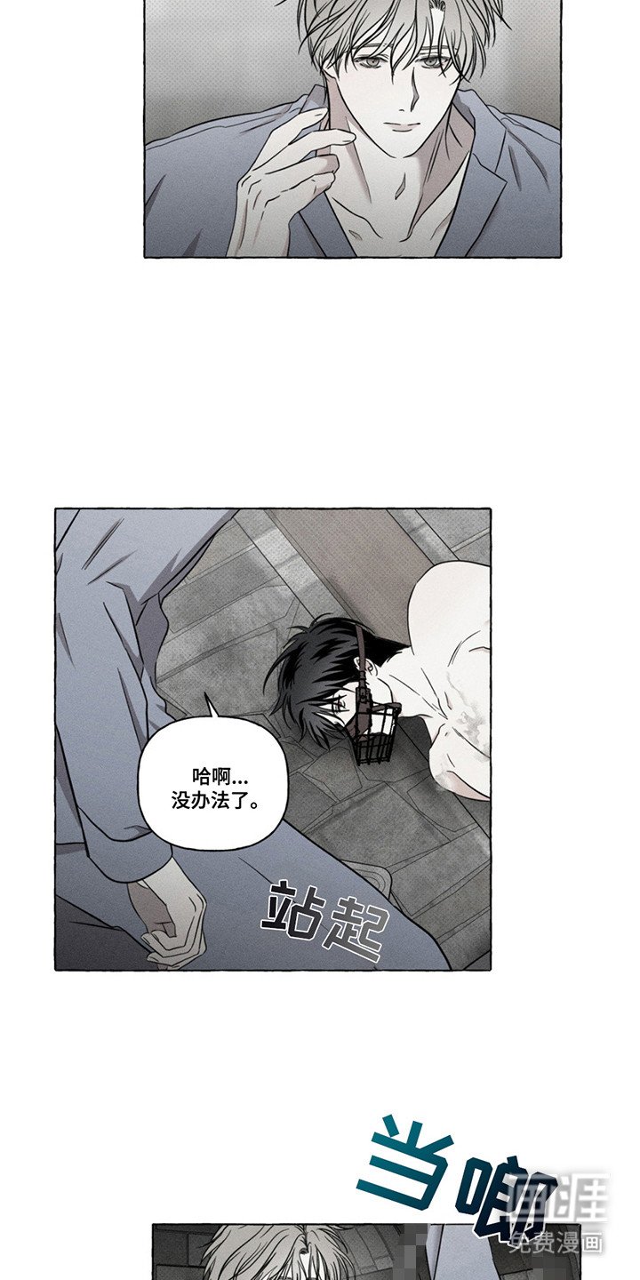 第8章：照顾