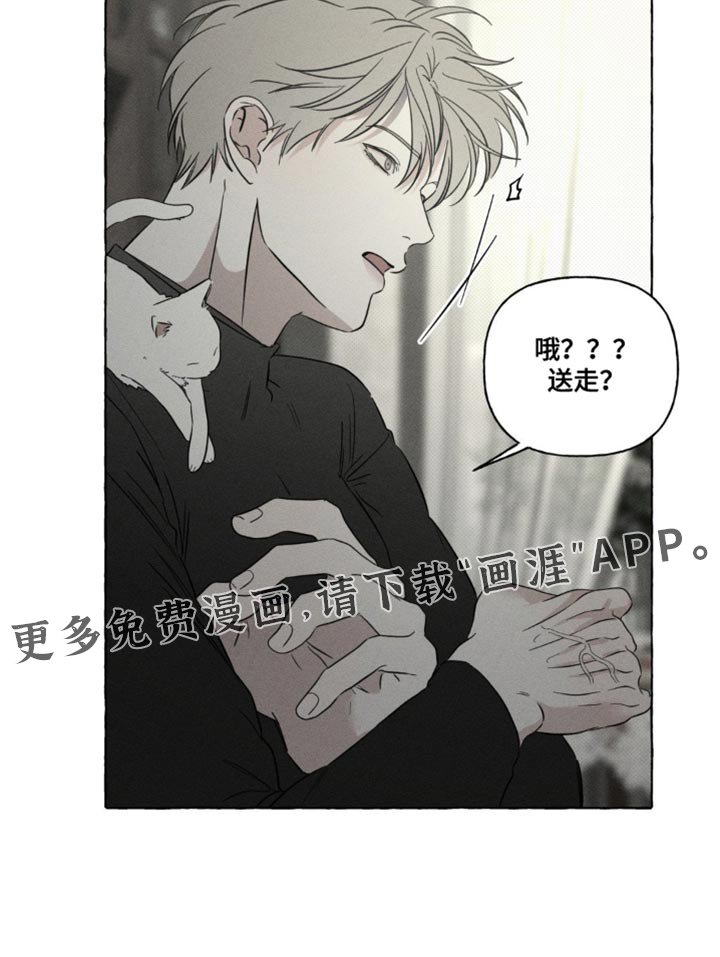 第80章：一点都没吃