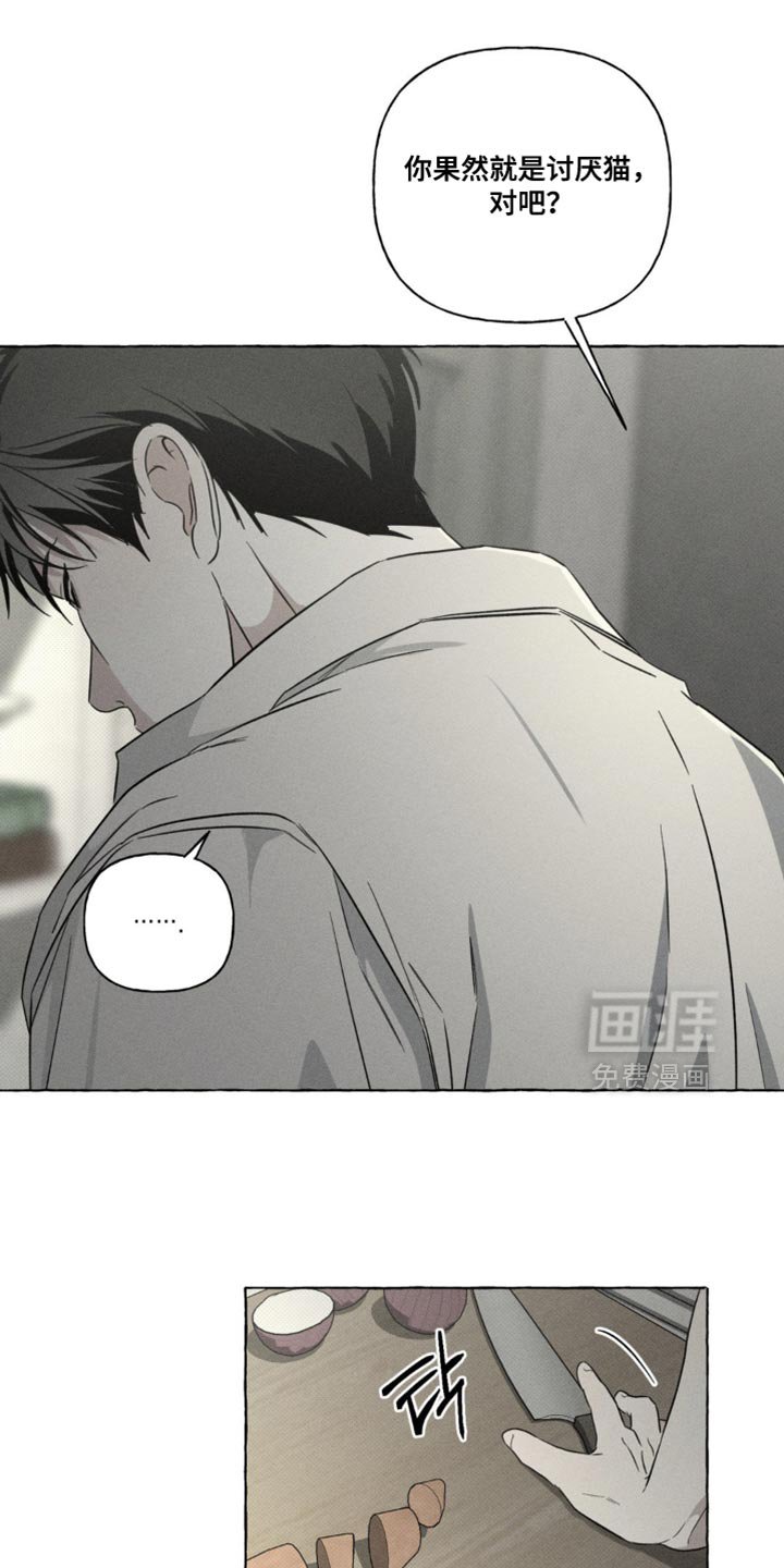 第81章：不可思议