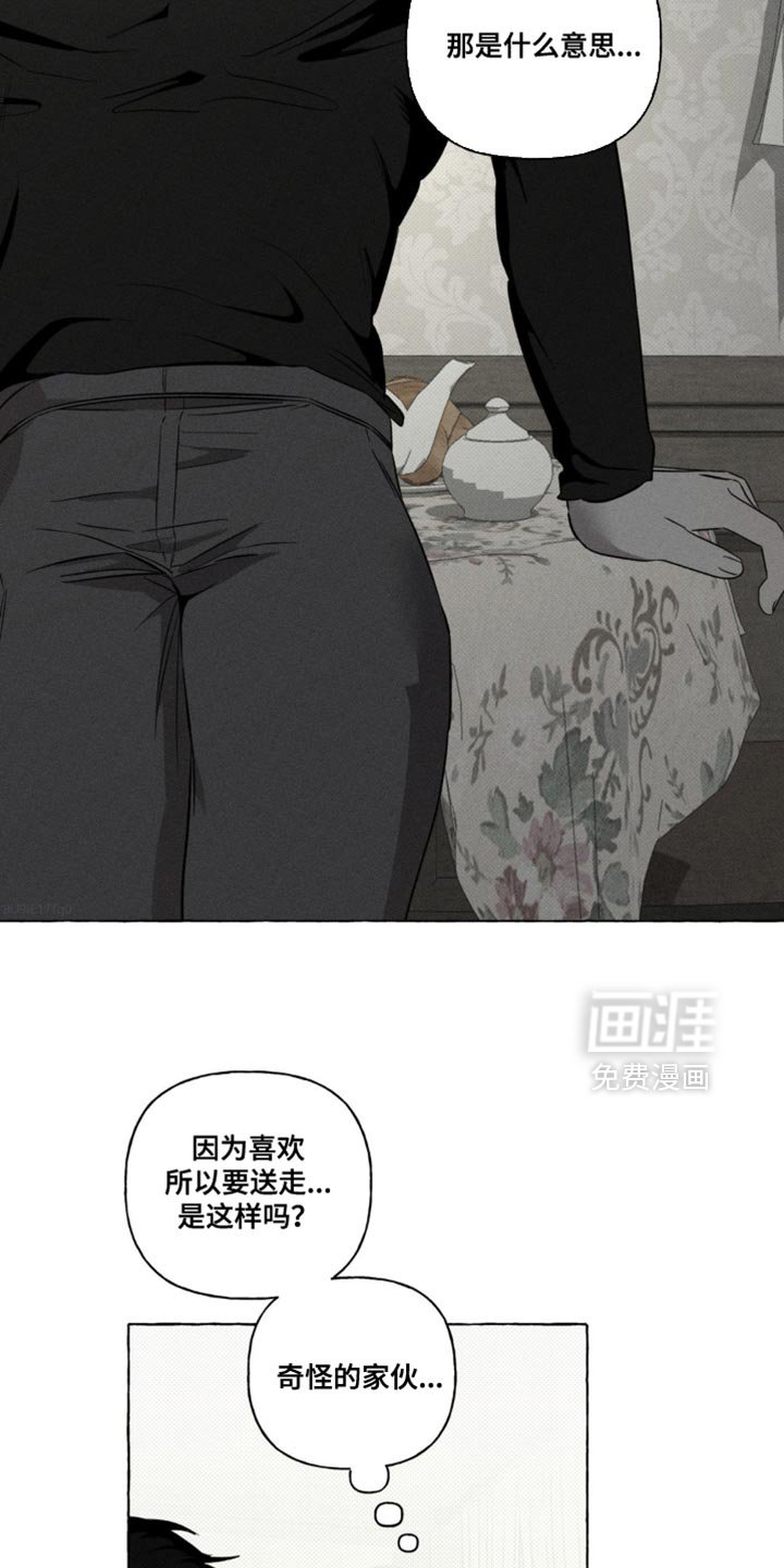 第81章：不可思议