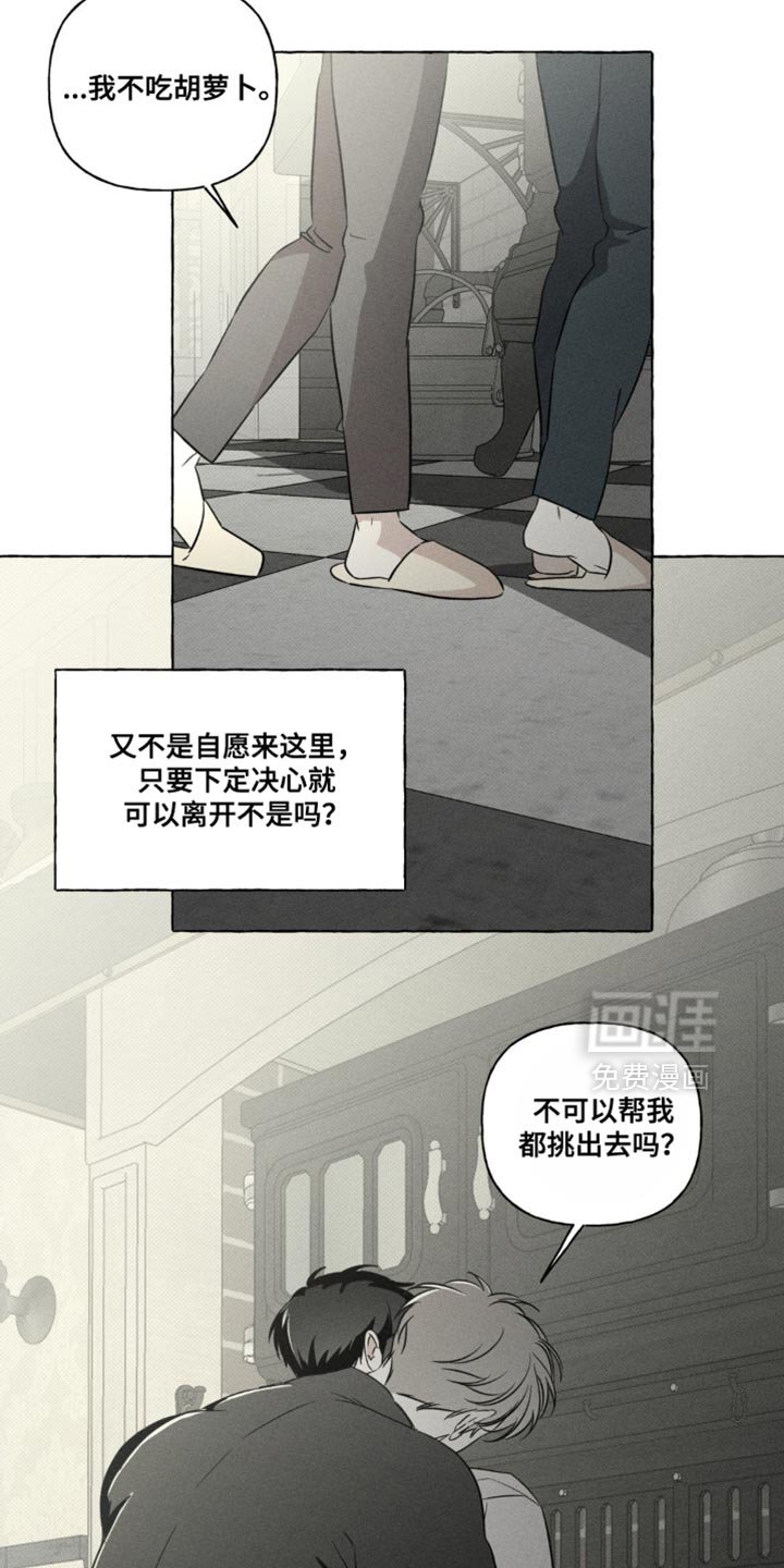 第81章：不可思议