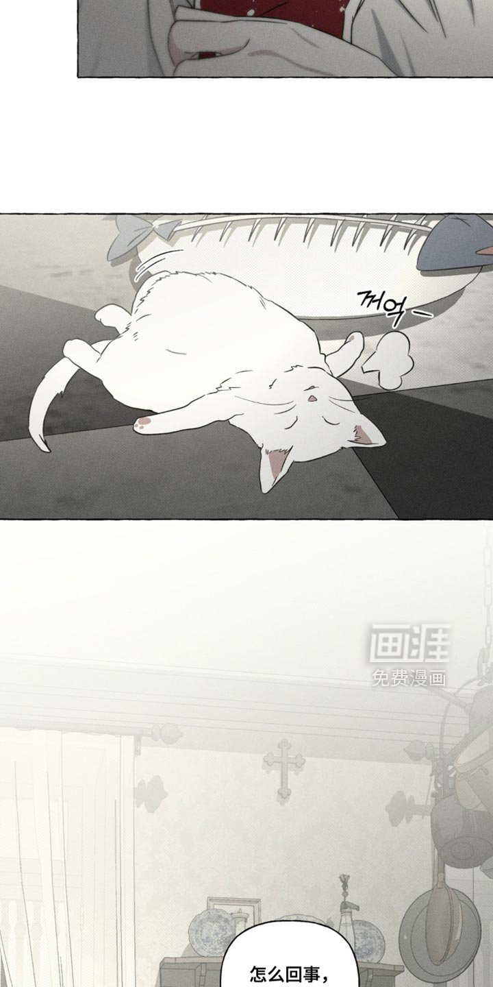 第81章：不可思议