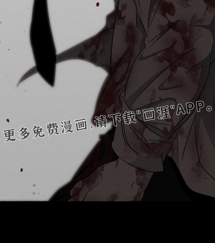 第81章：不可思议