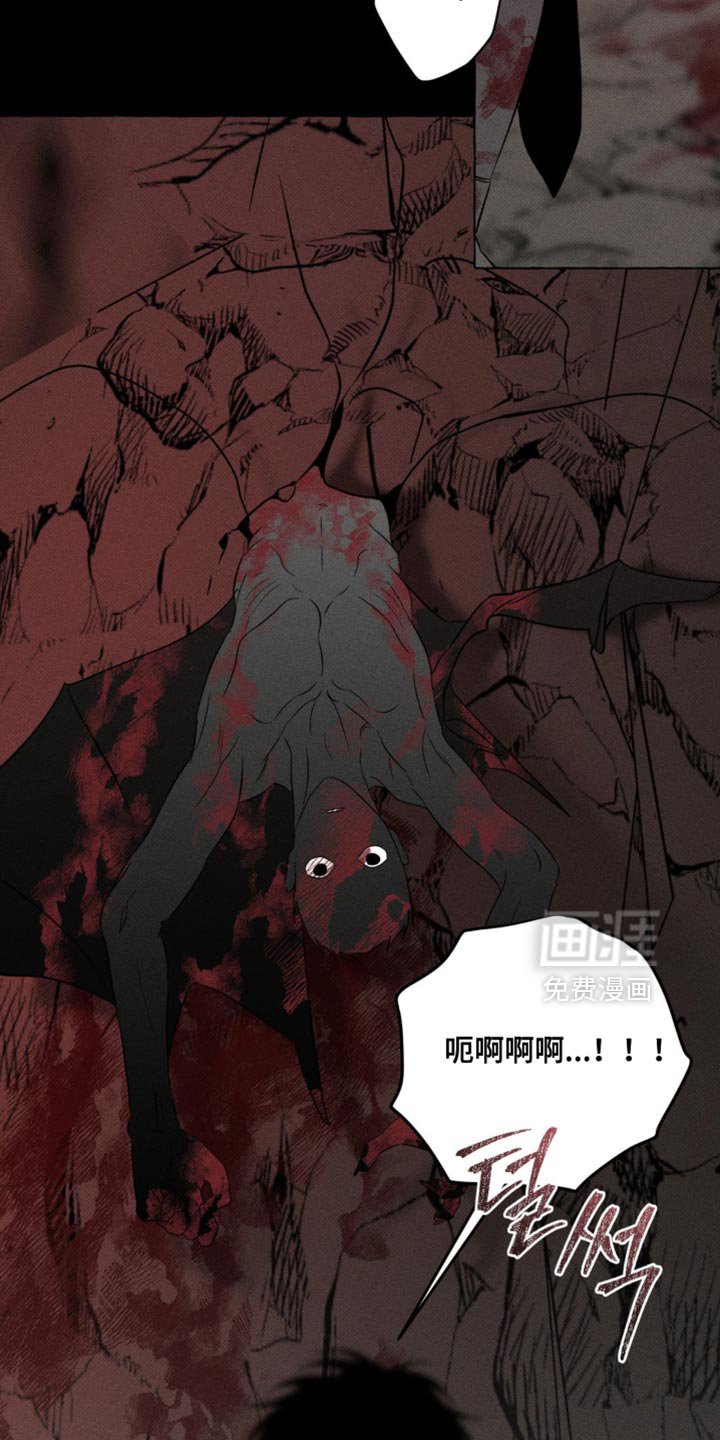 第83章：我回来了