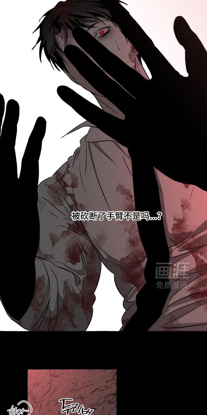 第83章：我回来了
