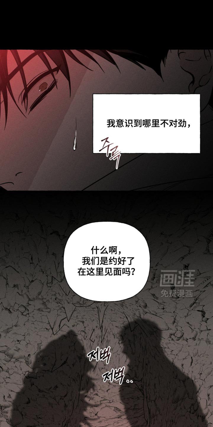 第83章：我回来了
