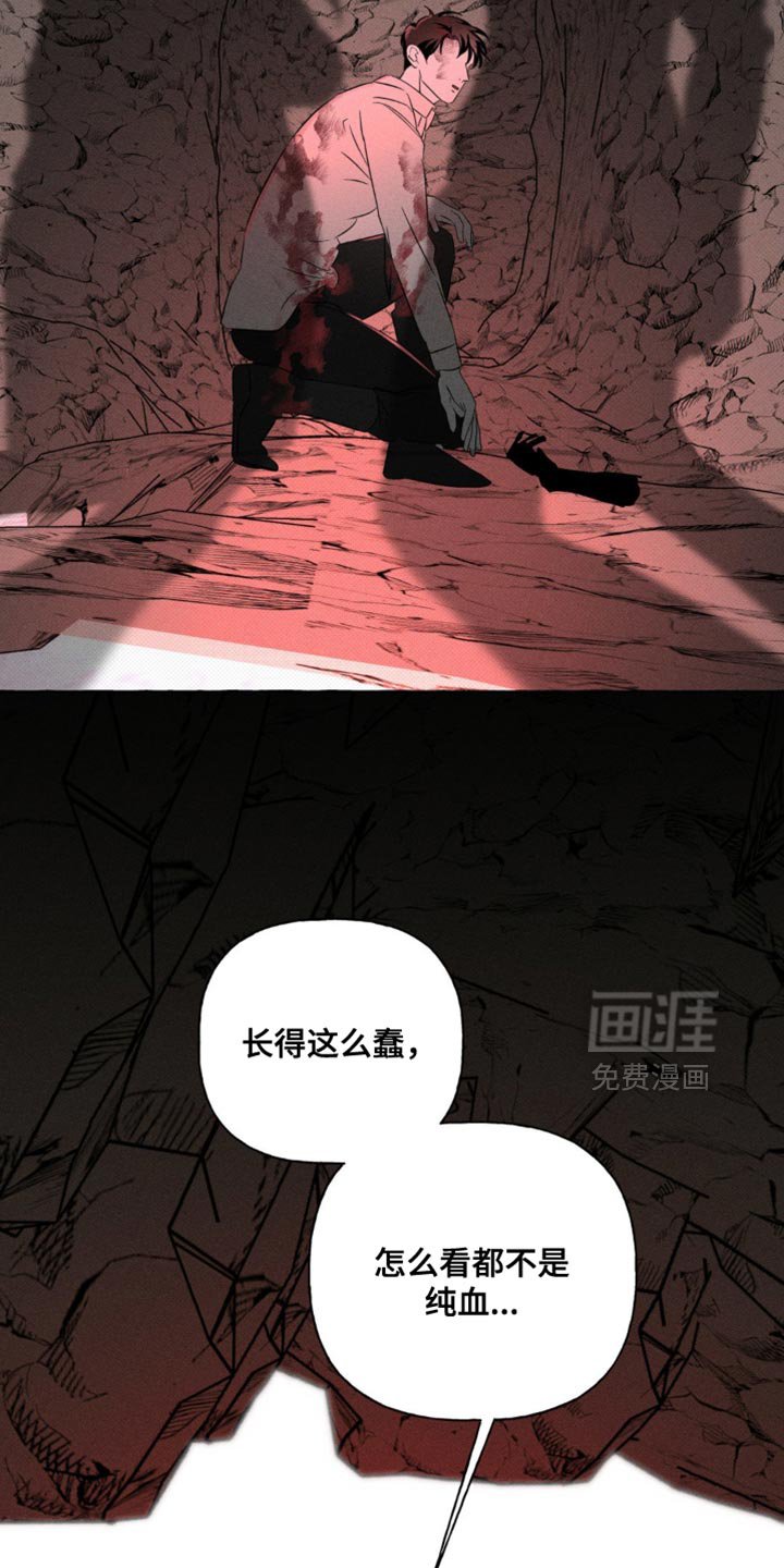 第83章：我回来了