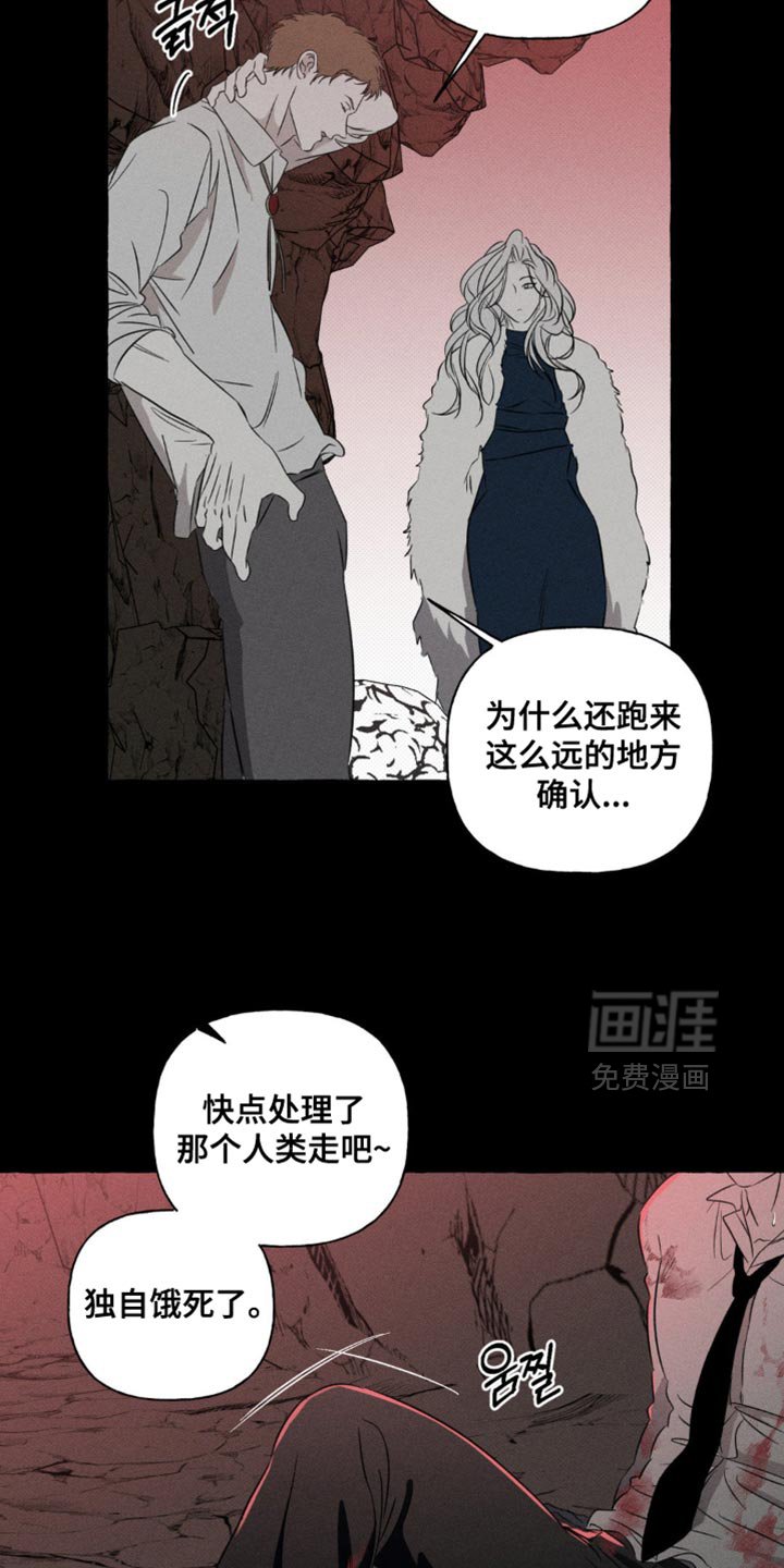第83章：我回来了