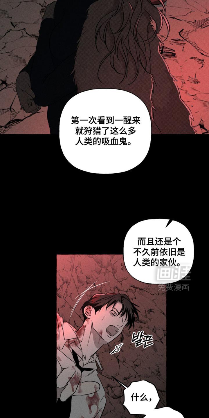 第83章：我回来了