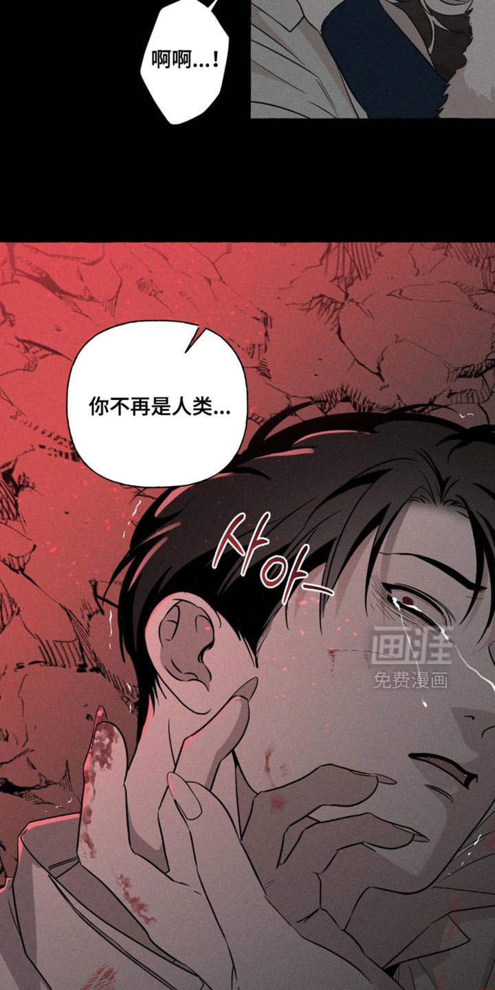 第83章：我回来了