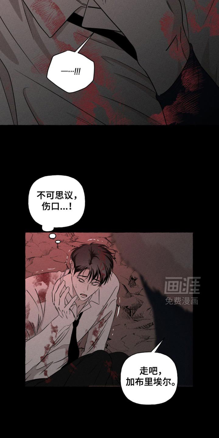 第83章：我回来了