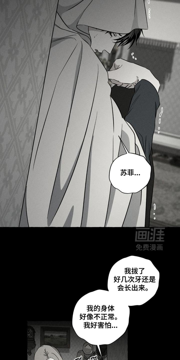 第84章：巨大的安慰