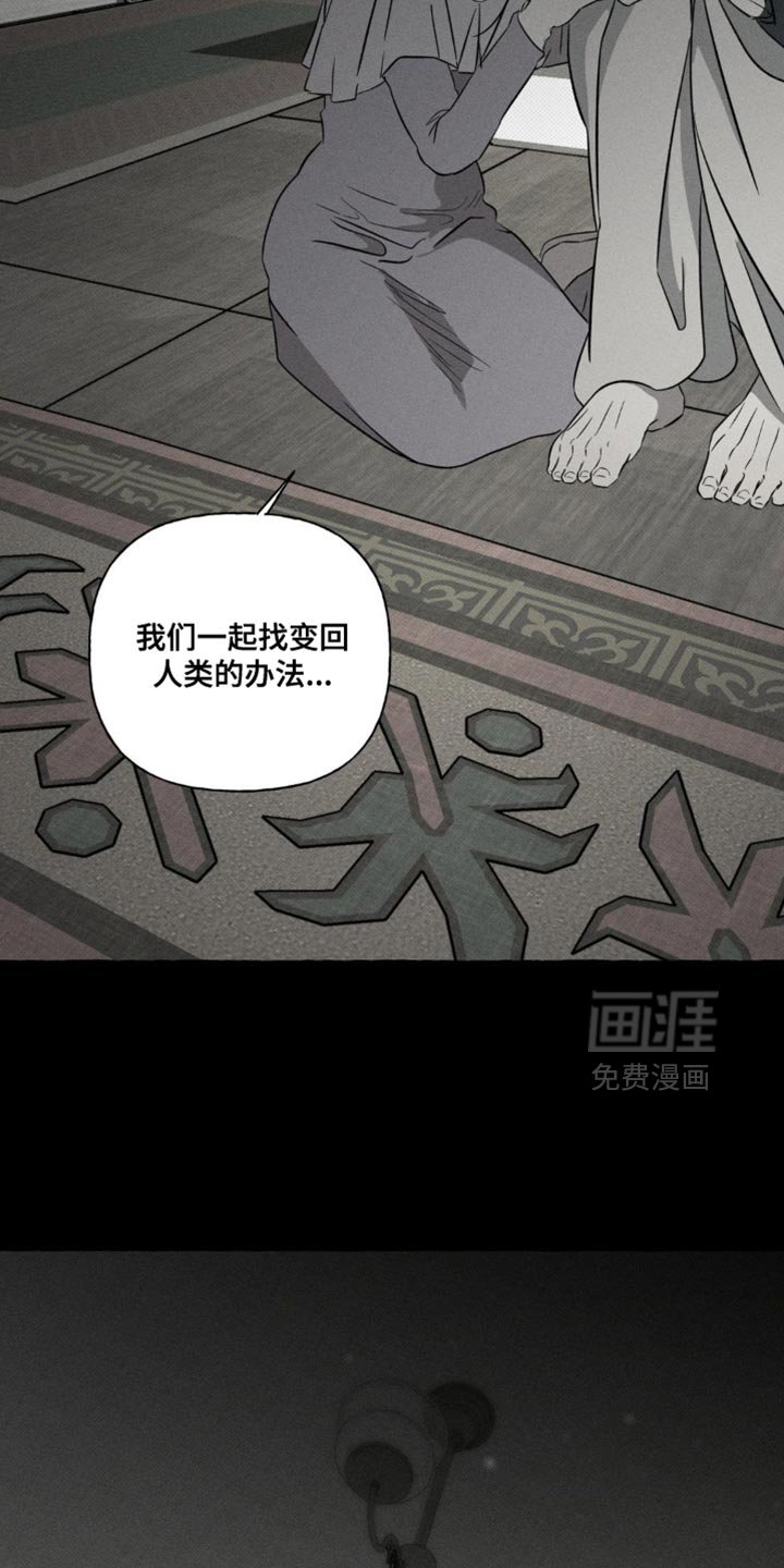 第84章：巨大的安慰